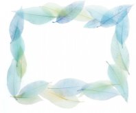 /heibanbao/qita/20190108/7606.html