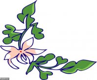 /heibanbao/qita/20190108/7755.html