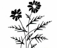 /heibanbao/qita/20190108/7203.html