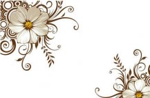 /heibanbao/qita/20190108/7138.html