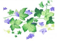 /heibanbao/qita/20190108/7128.html