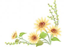 /heibanbao/qita/20190108/7162.html