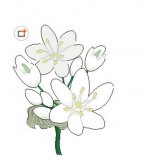 /heibanbao/qita/20190108/6790.html