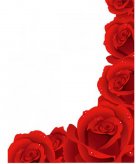 /heibanbao/qita/20190108/7328.html