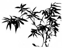 /heibanbao/qita/20190108/7183.html