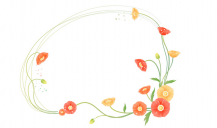 /heibanbao/qita/20190108/7338.html