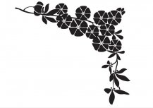 /heibanbao/qita/20190108/7104.html