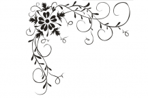 /heibanbao/qita/20190108/6944.html