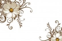 /heibanbao/qita/20190108/7085.html