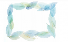 /heibanbao/qita/20190108/7134.html