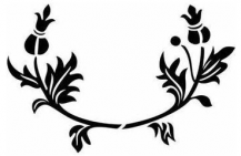 /heibanbao/qita/20190108/7061.html