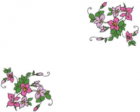 /heibanbao/qita/20190108/6713.html