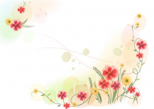 /heibanbao/qita/20190108/6753.html