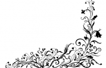 /heibanbao/qita/20190108/6632.html