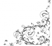 /heibanbao/qita/20190108/6668.html