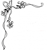 /heibanbao/qita/20190108/6297.html