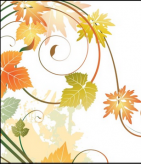 /heibanbao/qita/20190108/6362.html