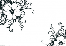 /heibanbao/qita/20190108/6263.html