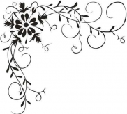 /heibanbao/qita/20190108/6405.html