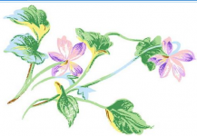 /heibanbao/qita/20190108/5791.html