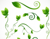 /heibanbao/qita/20190108/5784.html