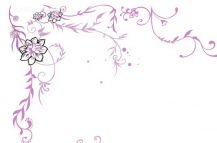 /heibanbao/qita/20190108/5665.html