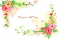 /heibanbao/qita/20190108/5558.html