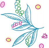 /heibanbao/qita/20190108/5581.html