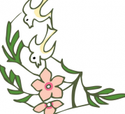 /heibanbao/qita/20190108/5630.html