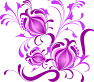 /heibanbao/qita/20190108/5577.html