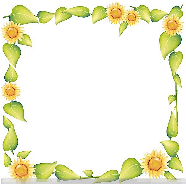 黑板报花边：向日葵花边