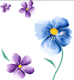 /heibanbao/qita/20190108/5444.html