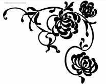 /heibanbao/qita/20190108/5439.html