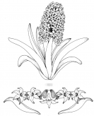 /heibanbao/qita/20190108/5258.html