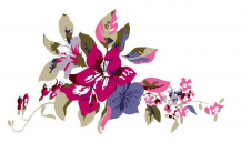 /heibanbao/qita/20190108/5491.html