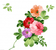 /heibanbao/qita/20190108/5280.html