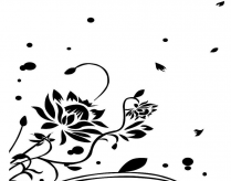 /heibanbao/qita/20190108/5232.html