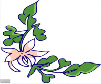 /heibanbao/qita/20190108/5462.html