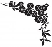 /heibanbao/qita/20190108/5530.html