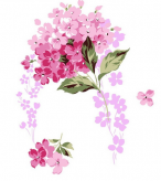 /heibanbao/qita/20190108/5196.html