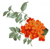 /heibanbao/qita/20190108/5397.html