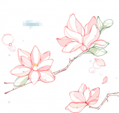 /heibanbao/qita/20190108/5206.html