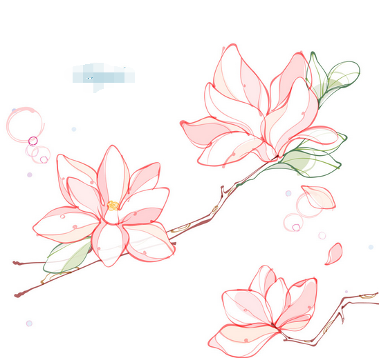 黑板报花边:木兰花花边 黑板报花边:木兰花花边