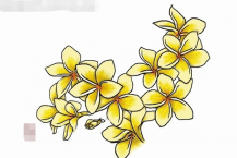 /heibanbao/qita/20190108/5344.html