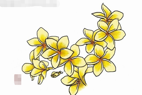 黑板报花边：鸡蛋花花边