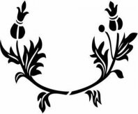 /heibanbao/qita/20190108/4018.html