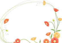 /heibanbao/qita/20190108/3498.html