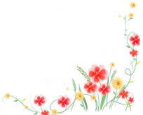 /heibanbao/qita/20190108/3600.html