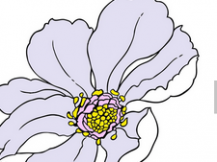 /heibanbao/qita/20190108/2587.html