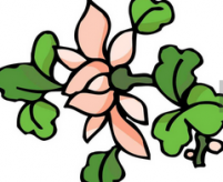 /heibanbao/qita/20190108/2982.html